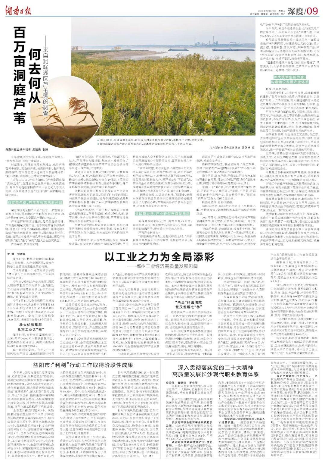 百万亩洞庭芦苇何去何从——来自洞庭湖区芦苇荡的调查-湖南洞庭项目管理有限公司