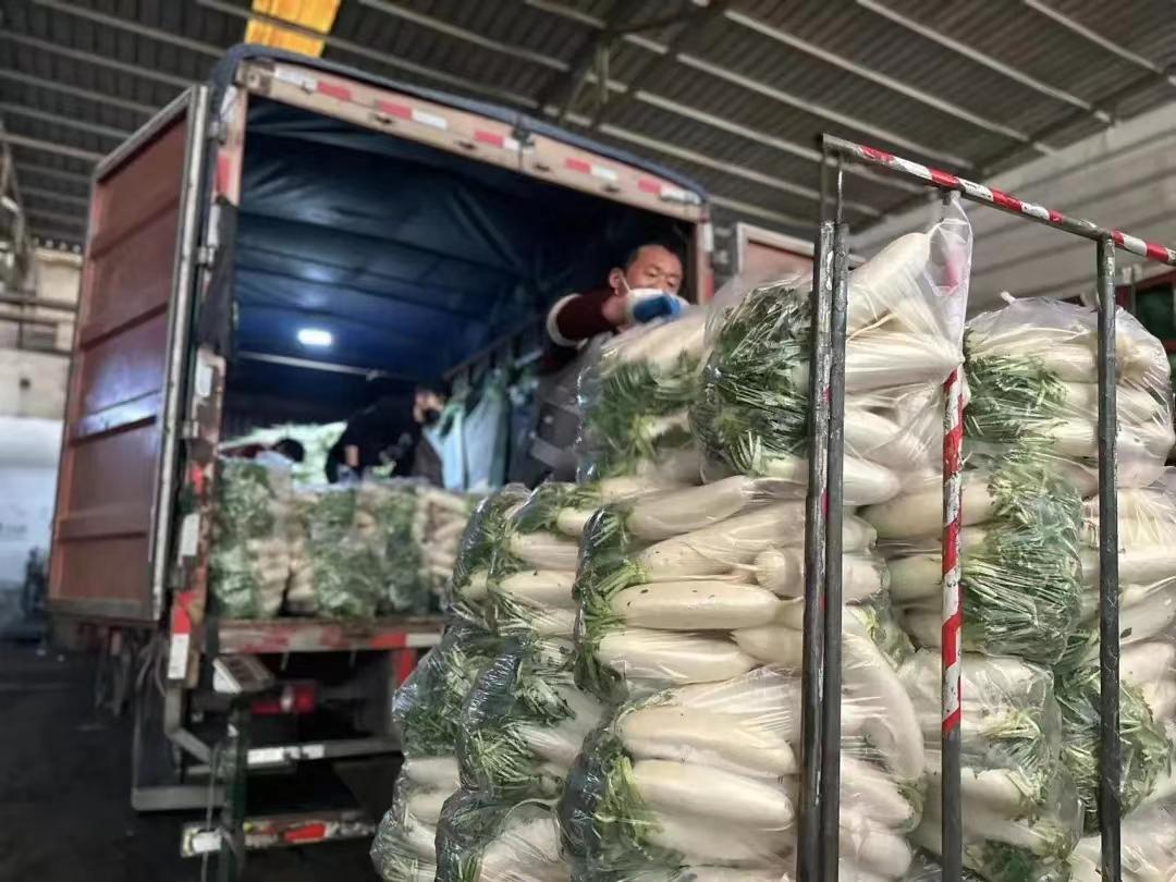 春节前十天蔬菜集团批发成交各类农产品93415吨，目前市场主要蔬菜供应品种多达180余个-春节前青菜多少钱