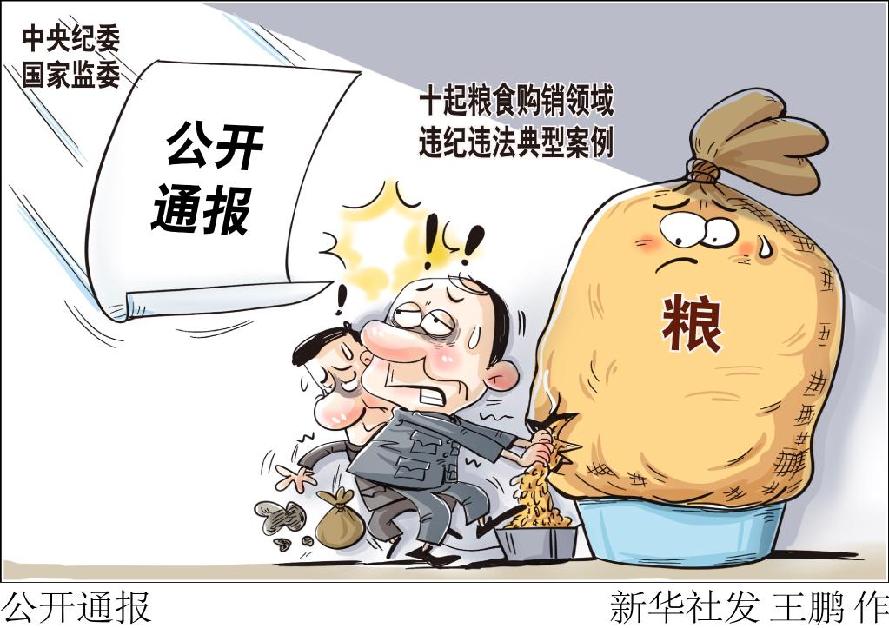 【推荐】中央纪委国家监委公开通报十起粮食购销领域违纪违法典型案例-陕西和应物资有限公司