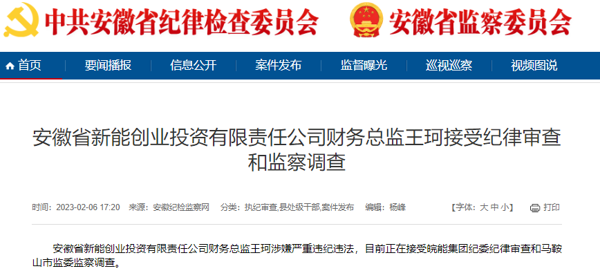 安徽省新能创业投资有限责任公司财务总监王珂被查-皖能集团财务有限公司