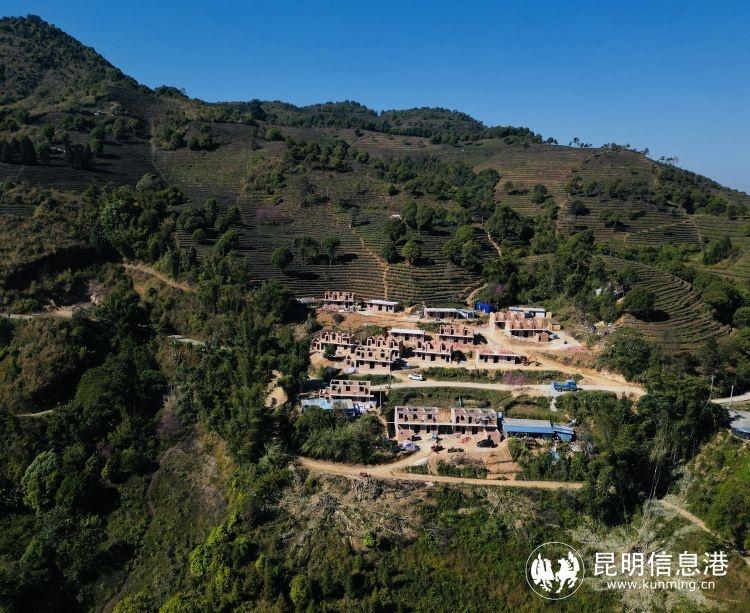 “大益乡村振兴行动”公益项目寻访：首批新居3月交付以实际行动改善茶农生活环境-大益基金会