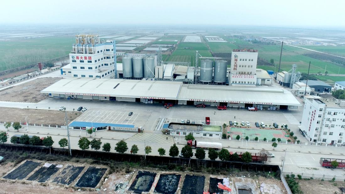《拼搏赶超勇争一流冲刺开门红》洪湖海大饲料有限公司：开足马力忙生产铆足干劲开好局-天津海大饲料有限公司