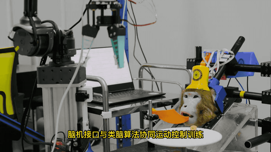 36氪独家｜果壳CEO姬十三注册成立创投基金「未来光锥」，将专注前沿科技投资-CEO基金