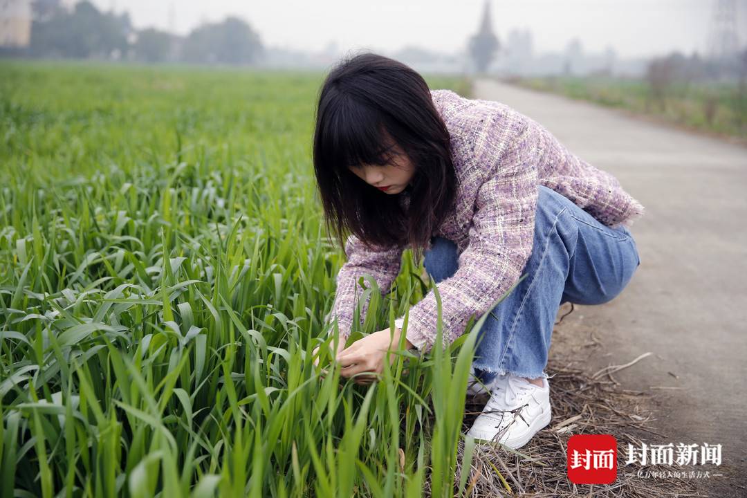 90后“种田CEO”掌舵五千亩良田为天府粮仓耕种丰收希望丨天府粮心-中国80后90后多少会种地