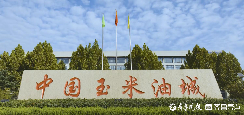 好品山东西王构建食用油品牌矩阵，满足消费者多元化用油选择-西王食品北京有限公司