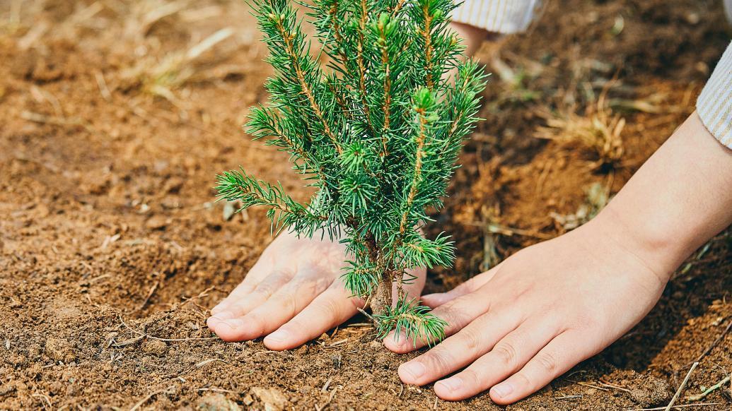 【推荐】公益湃CSR周刊企业联动各方多互动形式倡导植树造林芭莎慈善基金