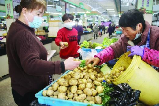 六横农户种植土豆出新招提前上市增效益一公斤土豆在清明节期间最高可卖到26元-上市公司哪家种植土豆