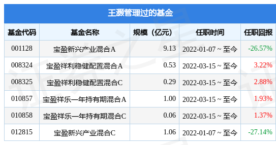 宝盈发展新动能股票A基金经理变动：增聘王灏为基金经理-新基金经理