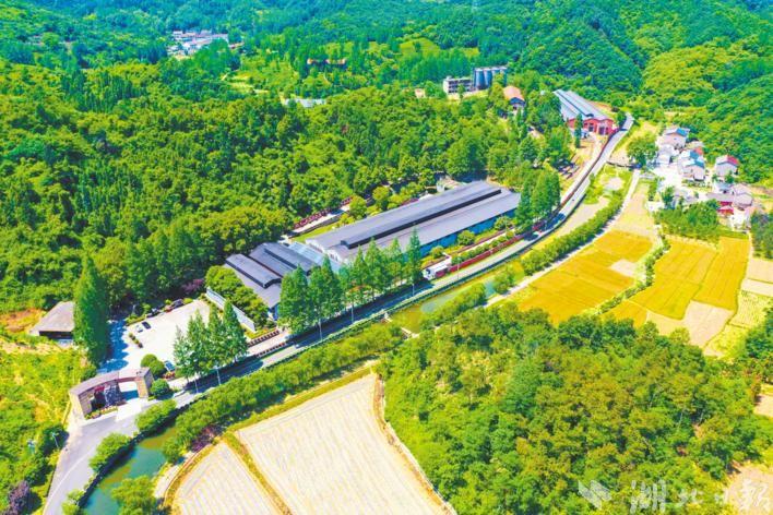 百年老字号历久弥新-中国有多少家百年企业