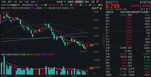 北向资金强力扫货！数据利好，大消费全线回暖，食品ETF（515710）放量大涨！港股互联网业绩修复兑现-哪个应用看股票资讯好