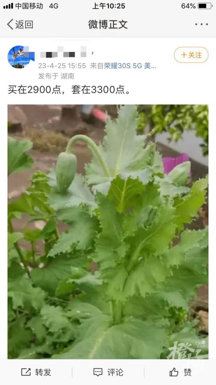 2900点买基金被套在3300点，是一种什么体验？今年的“小目标”又变成了“回本”！-基金被套是什么意思