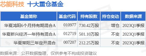 6月9日芯能科技涨10.01%，华夏鸿阳6个月持有期混合A基金重仓该股-基金鸿阳股票