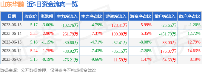 山东华鹏（603021）6月15日主力资金净卖出102.76万元-山东华鹏能涨到多少