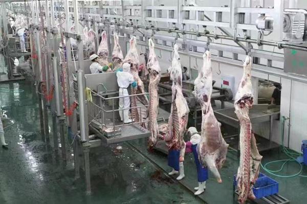 重庆：金融业多措并举助力食品及农产品加工产业高质量发展-重庆市农产品小额贷款有限公司