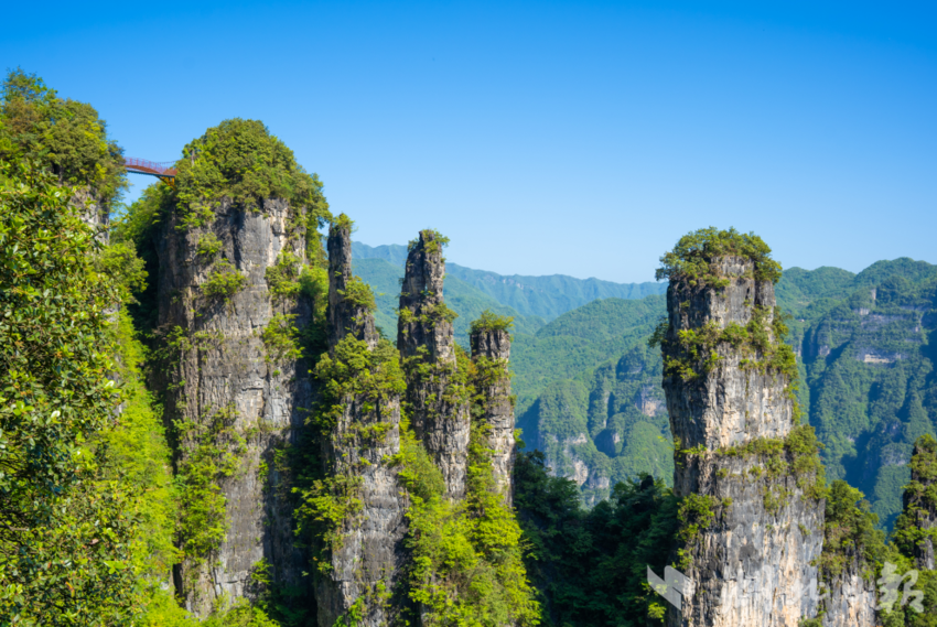 五峰柴埠溪：以绿色为底打造生态旅游圣地-景区演艺公司筹建