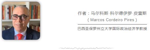 巴西学者：“去美元化”是大势所趋，但并非易事-应急储备基金