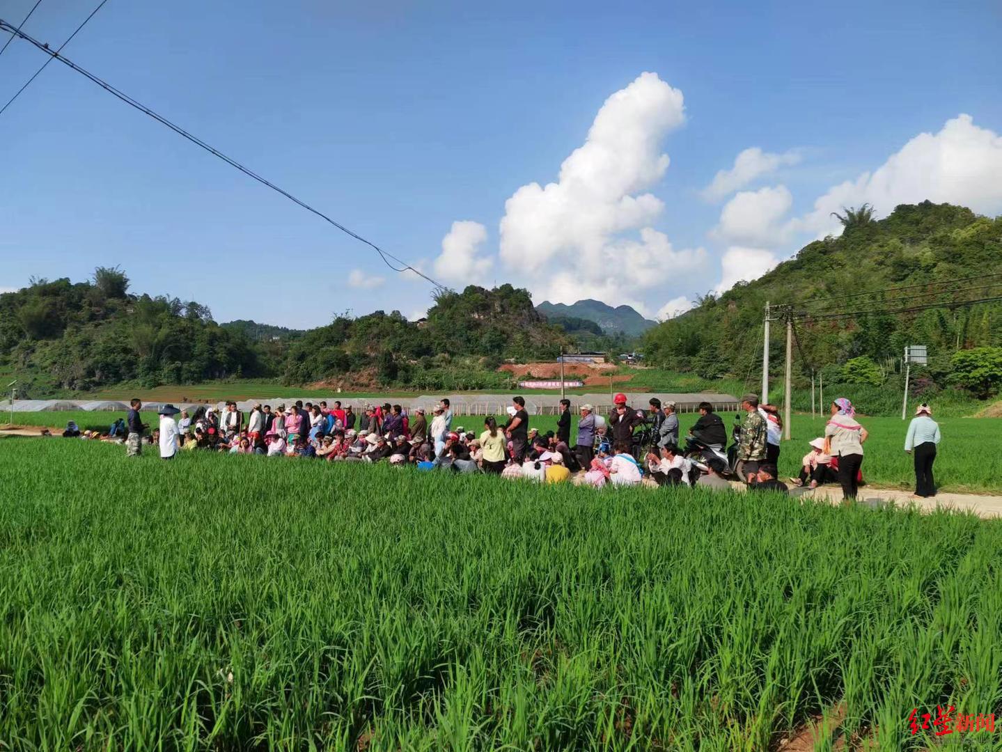 “水稻旱作”调查：比传统旱稻亩均增产超200公斤，“水稻上山”为通俗语言-一百斤谷子能打多少米