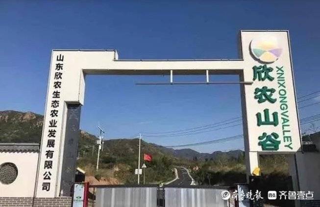 一个人养21万只鸡？济南章丘的这家蛋鸡养殖企业这样做-一个人可以养多少蛋鸡