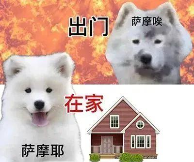 “隐藏服务”解锁！上海街头部分门店可免费提供冰水-上海观内贸易有限公司