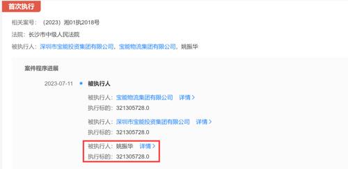 宝能新增两条被执行人信息-基金新增