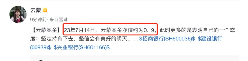 净值跌到一毛九，啥时能回本？雪球大V云蒙再次更新基金净值：单一风格让大V翻车常态化-杠杆基金代码