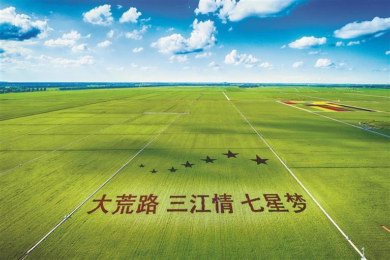 “二次创业”新征程走进北大荒农业股份⑧｜北大荒农业股份七星分公司奋力当好现代农业高质量发展排头兵-分公司运作模式