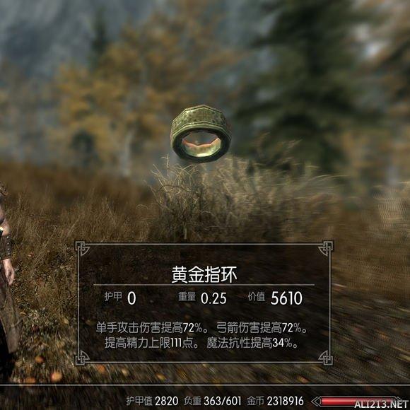 上古卷轴5特大灵魂石代码，上古卷轴5灵魂石代码（天际》新手调配药水方案）