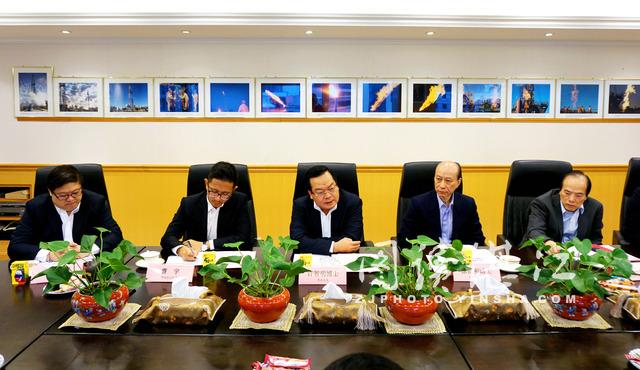 东海岛龙海天，东海岛龙海天旅游度假区怎么样（五大项目将落户东海岛助力现代化大工业新城建设）