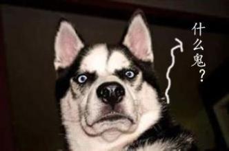 cf闪退怎么解决，怎么解决cf闪退问题（小编也疯狂：想不卡就进来）