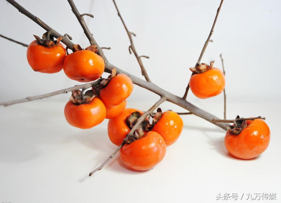 吃柿子饼的禁忌有哪些，吃柿子饼忌什么（你可知吃柿子都有哪些禁忌）