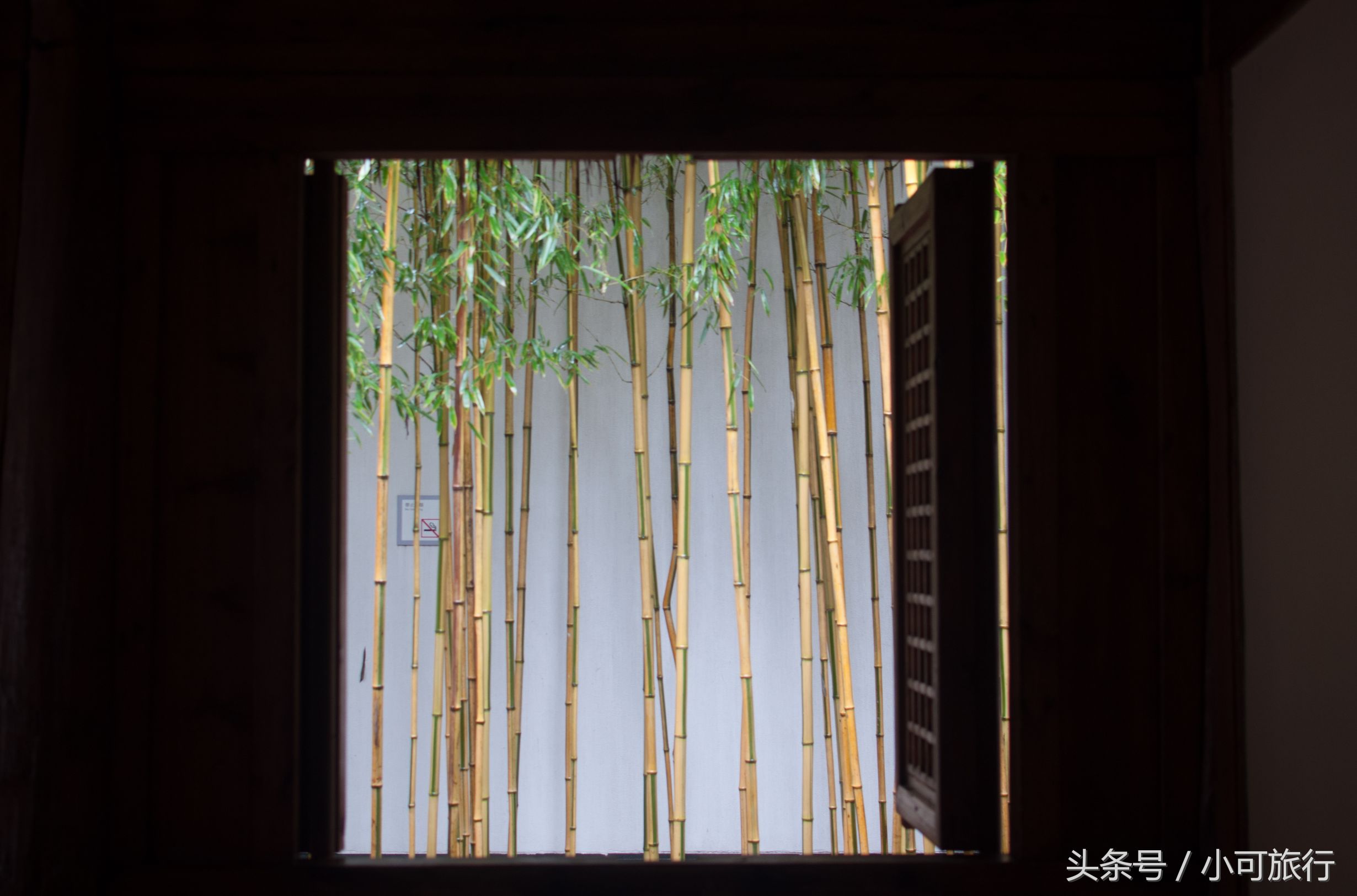 什么牌子的烤肉机好，什么牌子的烤肉机好一点（连夜冒雨飞奔350个公里）