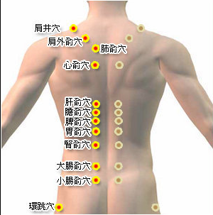 瘦人长胖小偏方，让瘦人长胖的小偏方（妈妈再也不用担心我被风吹走了）