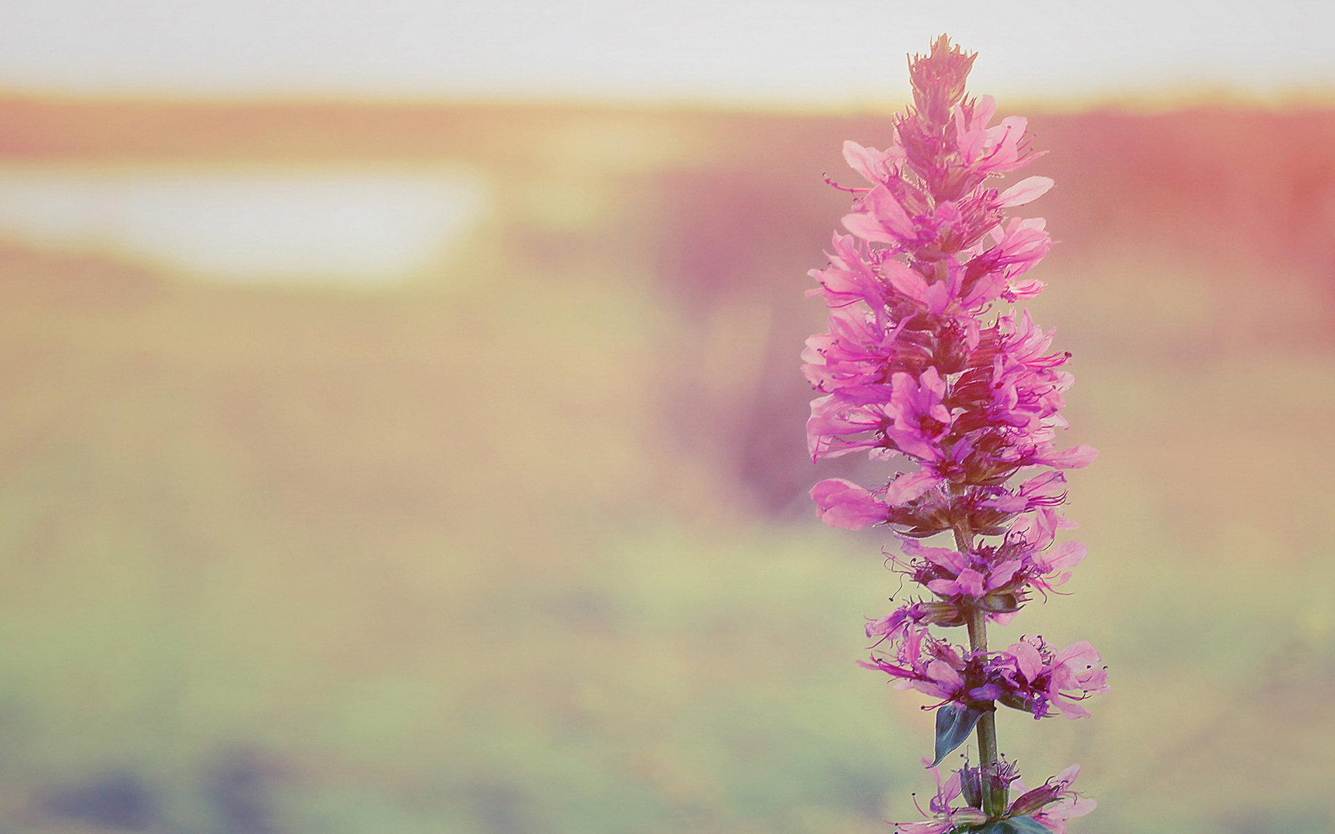 不打扰是我的温柔，有一种温柔叫不打扰（不打扰，是我的温柔）