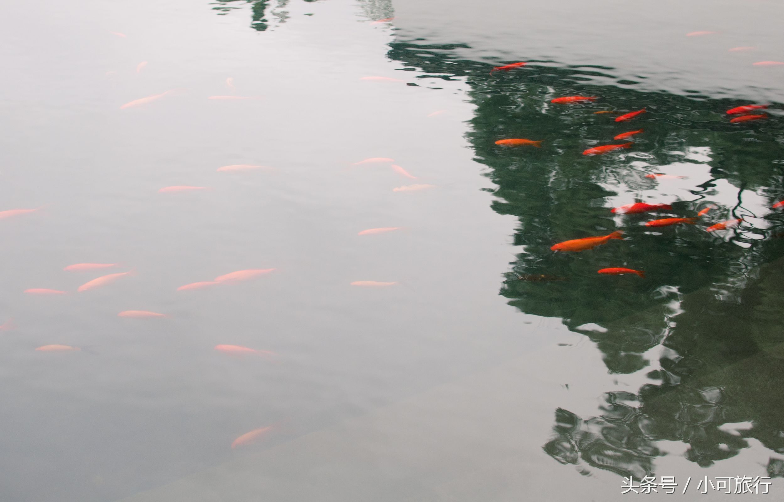 什么牌子的烤肉机好，什么牌子的烤肉机好一点（连夜冒雨飞奔350个公里）