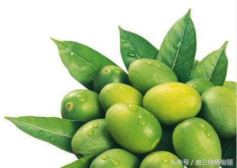 橄榄泡酒的正确泡法，云南橄榄酒的泡法（东莞唐三镜酿酒设备公司-偷偷告诉你私藏橄榄酒做法）