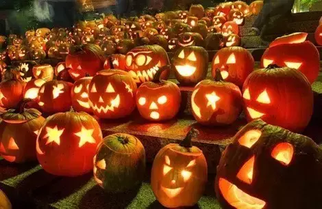 万圣夜是什么节日，万圣节的习俗有哪些（万圣节为什么叫万圣节）