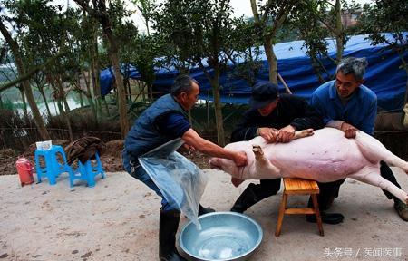 怎样才能辨别猪血是不是用血粉做的，怎样才能辨别猪血是不是用血粉做的呢（猪血如果不是蓬松的，请别吃）