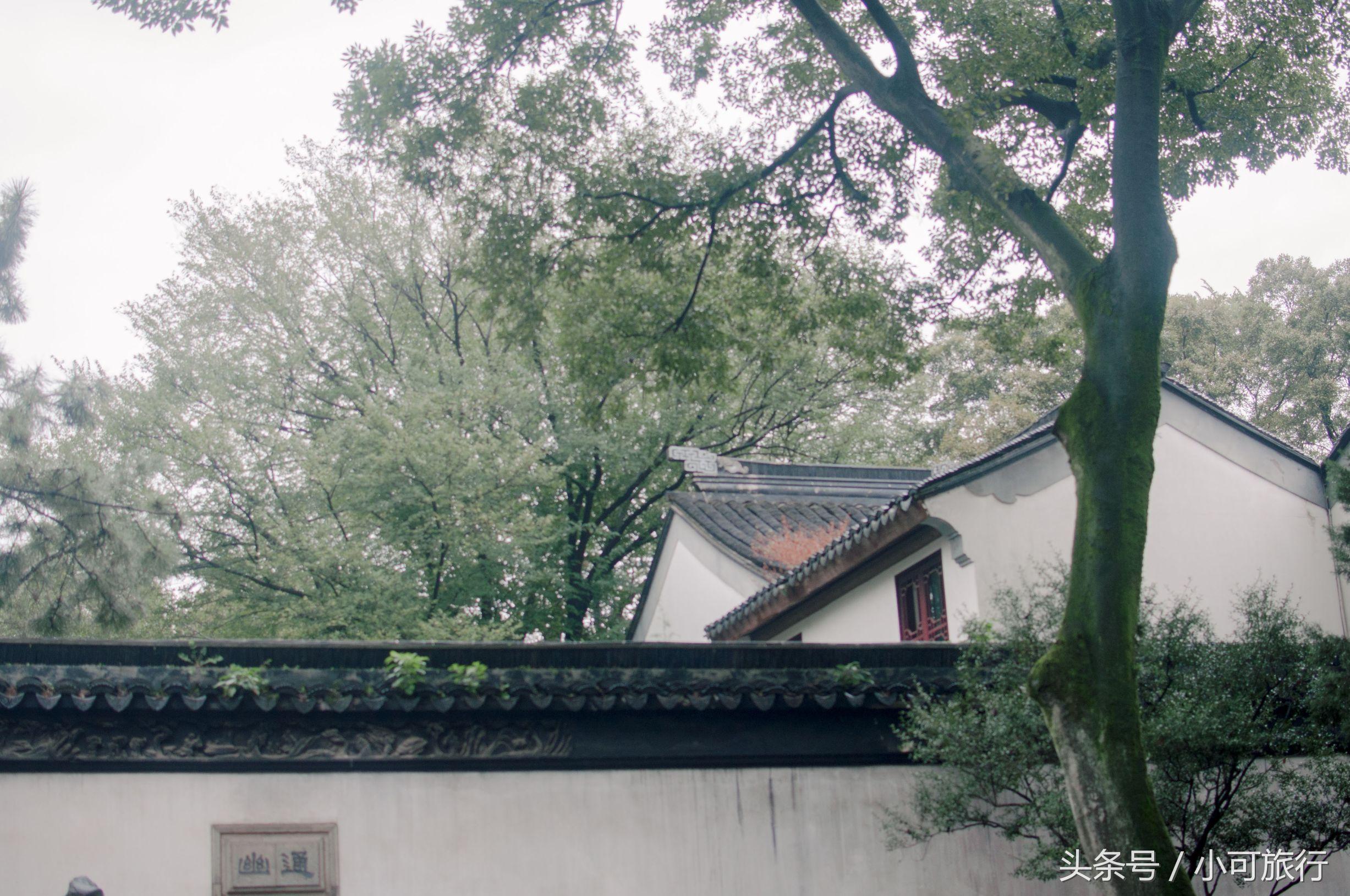 什么牌子的烤肉机好，什么牌子的烤肉机好一点（连夜冒雨飞奔350个公里）