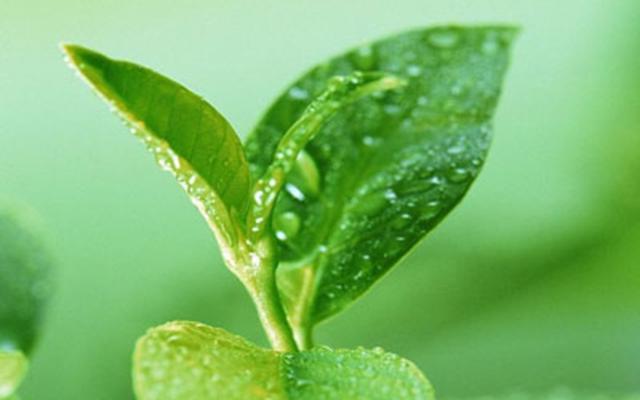 正确的养生方法，简单养生方法（你绝对不知道的）