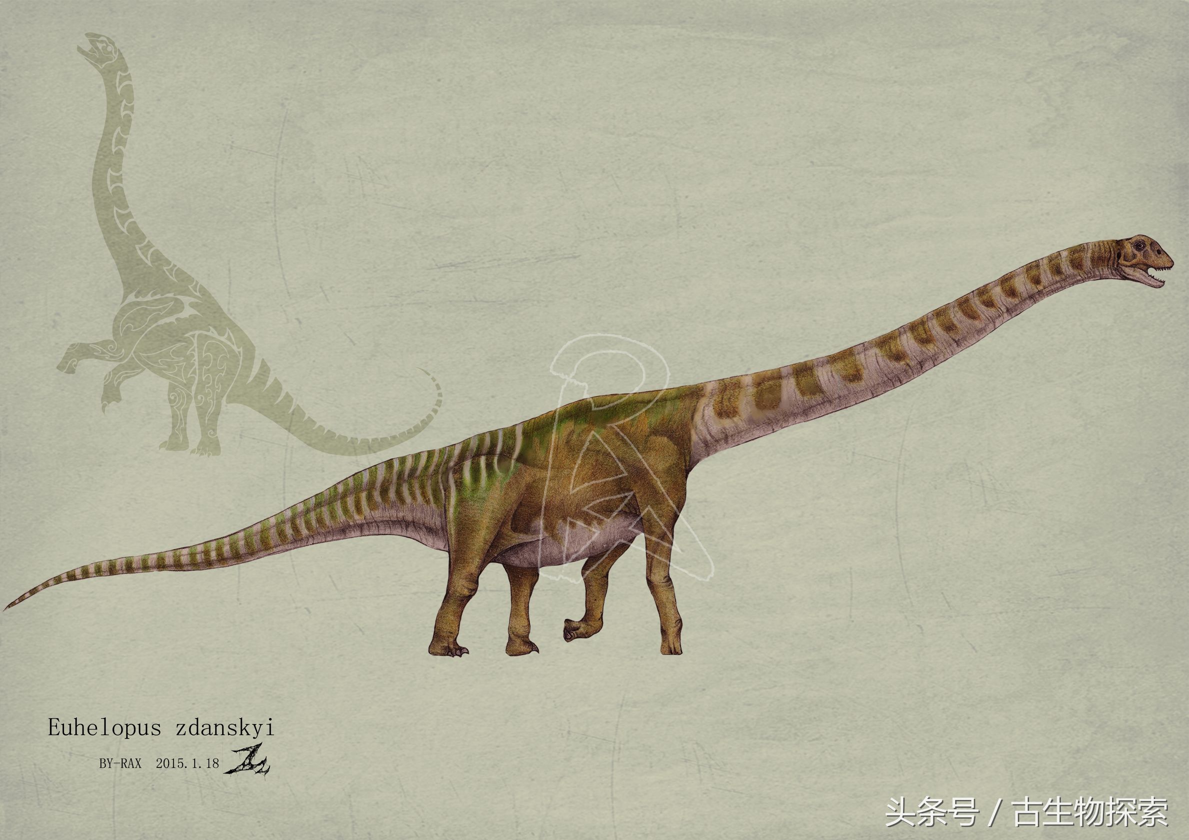 绘图者rax博士截至目前,百年中国已经发现了超过70种蜥脚类恐龙,大恐