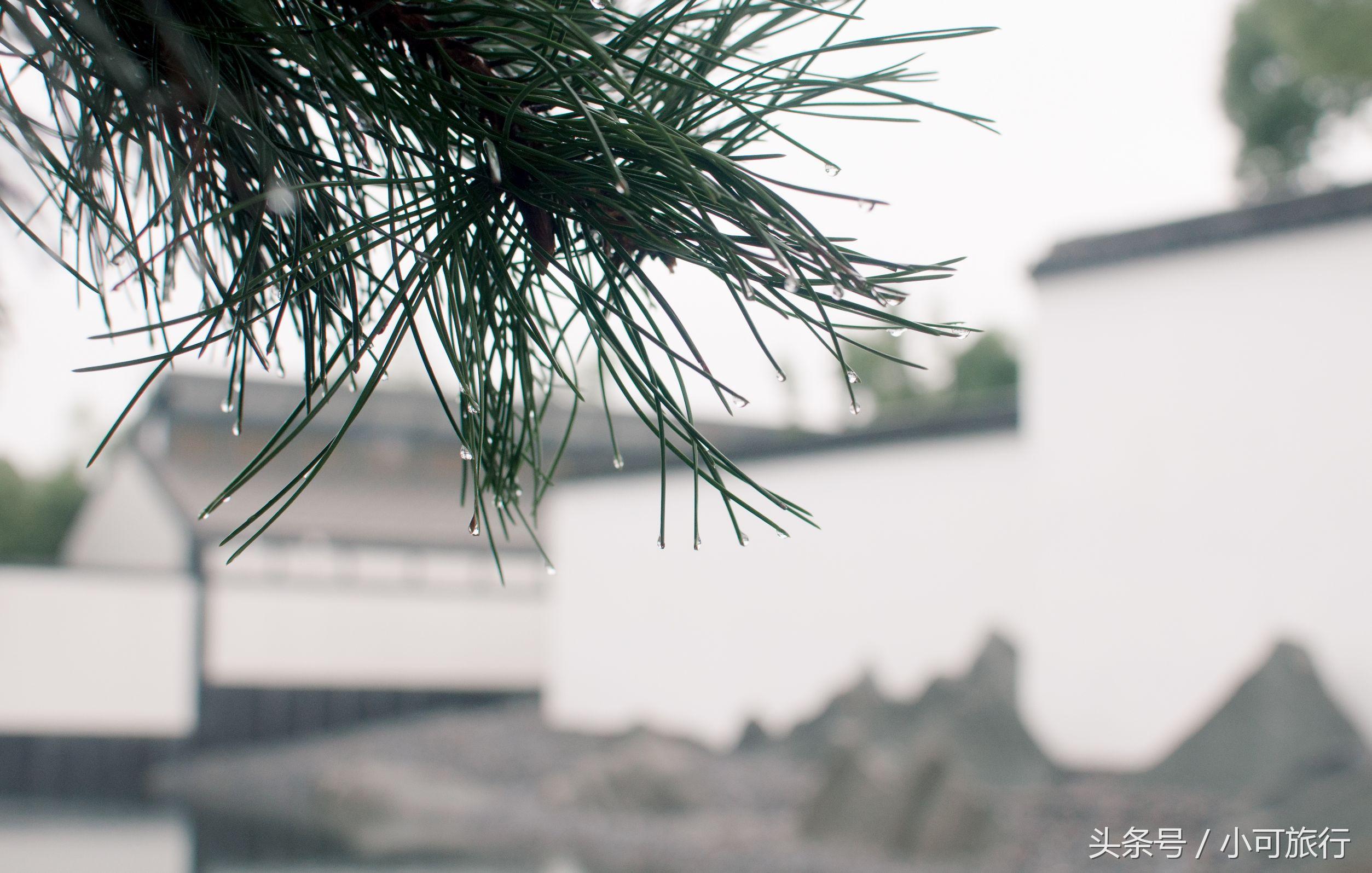 什么牌子的烤肉机好，什么牌子的烤肉机好一点（连夜冒雨飞奔350个公里）