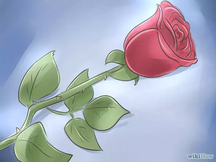 梦见香蕉预示着什么，梦见香蕉预示着什么意思（三分钟教会你如何梦见自己想做的梦）