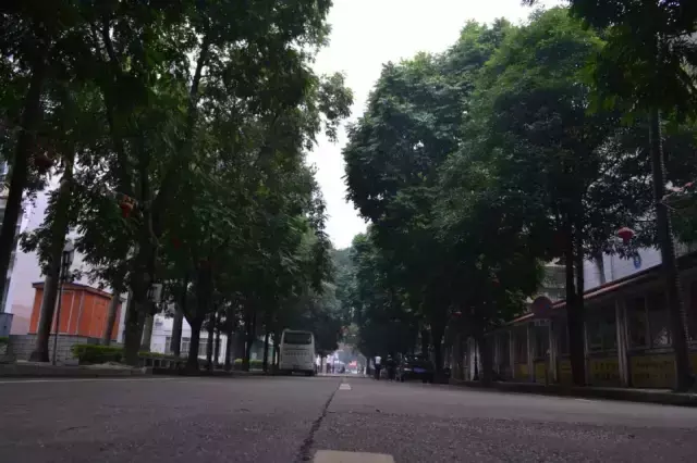 明秀东路179号广西中医药大学学生宿舍小区，2021广西中医药大学地址在哪里（请把我留在广西中医药大学）