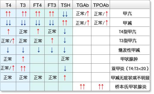 甲状腺大小正常值范围，甲状腺正常值多少（甲状腺专家教你一分钟读懂甲状腺化验单）