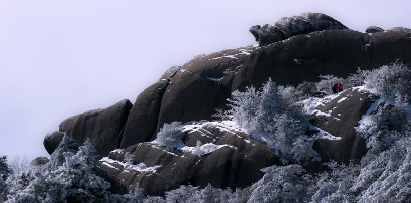 黄山奇石资料，黄山奇石资料200字（黄山的这些怪石头，你认得几块）