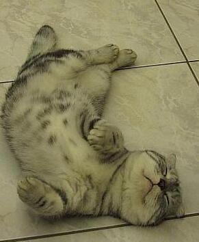 女人睡觉吹气是什么预兆，女人睡觉吹气是什么原因（睡相不太好的女生谁不想被男盆友这样照顾）