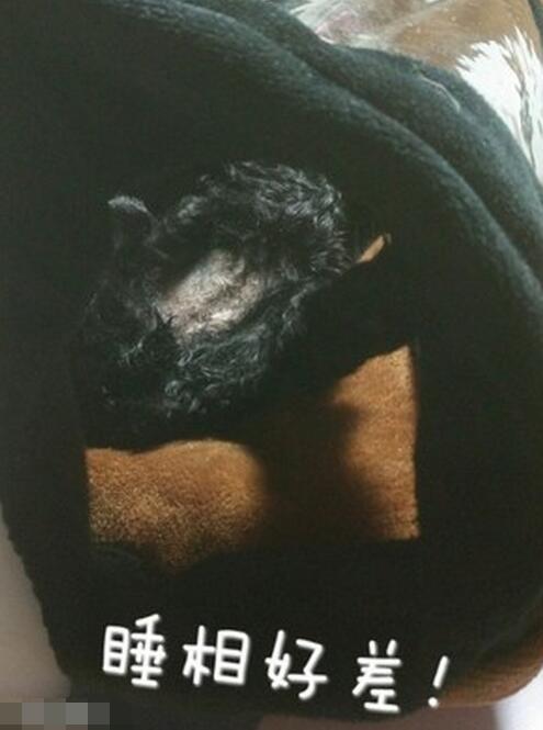 女人睡觉吹气是什么预兆，女人睡觉吹气是什么原因（睡相不太好的女生谁不想被男盆友这样照顾）