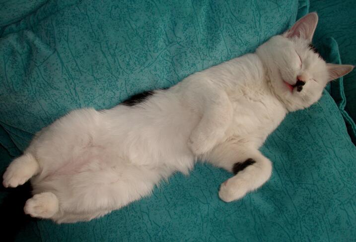 女人睡觉吹气是什么预兆，女人睡觉吹气是什么原因（睡相不太好的女生谁不想被男盆友这样照顾）