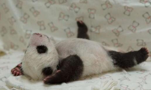 女人睡觉吹气是什么预兆，女人睡觉吹气是什么原因（睡相不太好的女生谁不想被男盆友这样照顾）