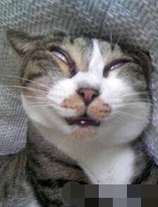 女人睡觉吹气是什么预兆，女人睡觉吹气是什么原因（睡相不太好的女生谁不想被男盆友这样照顾）